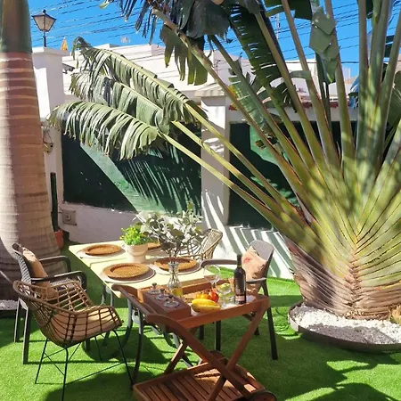 Canaria Laynoe